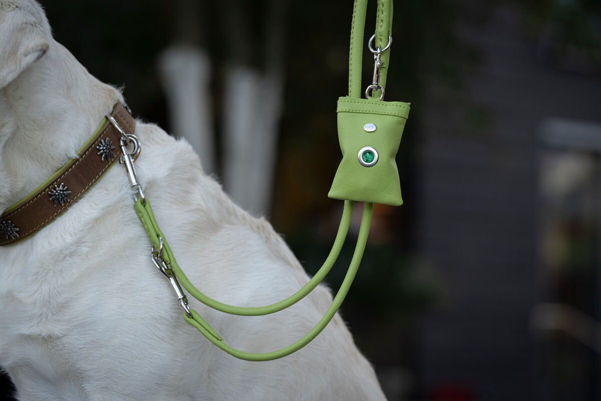 Maul | Hundeposeholder | Pistacie M. Karabin