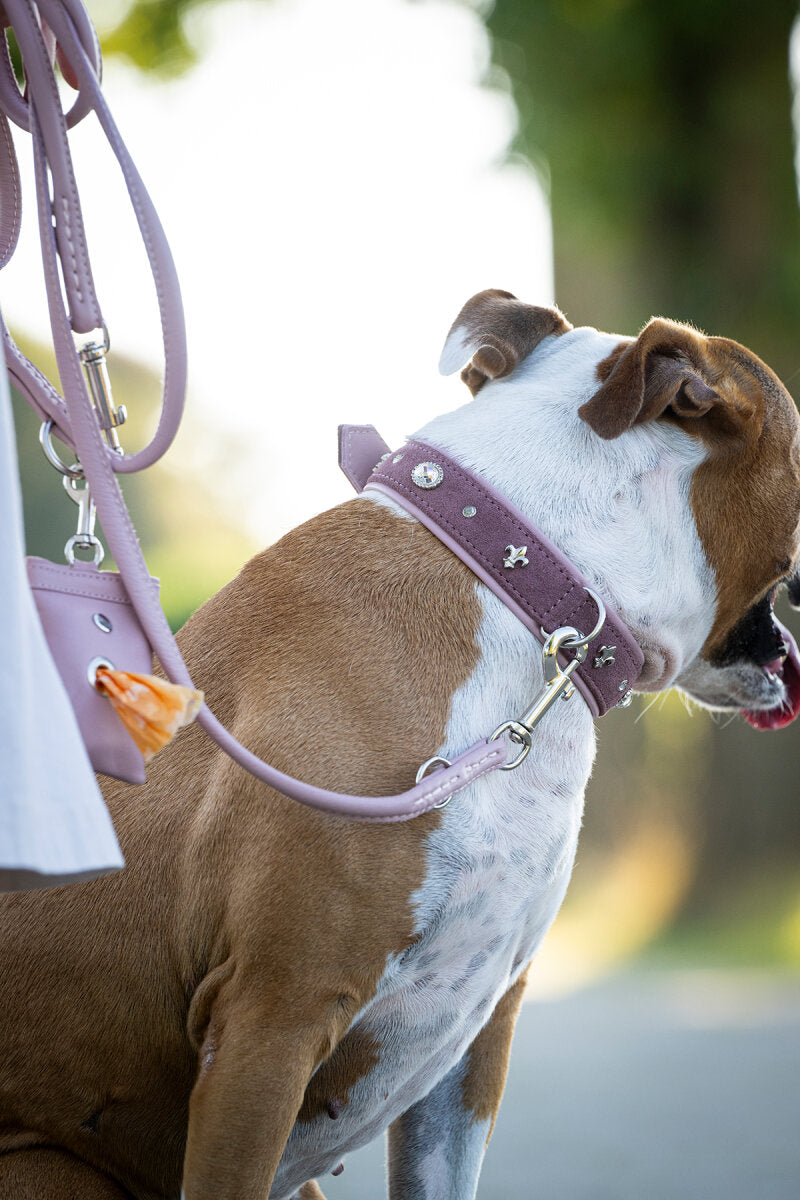 Maul | Hundeposeholder | Klassisk Rosa M. Karabin