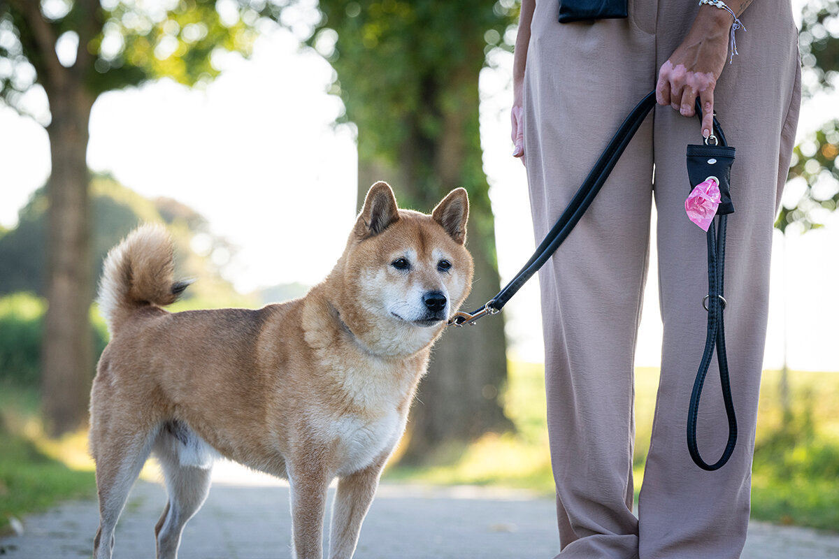 Maul | Hundeposeholder | Klassisk Sort M. Karabin