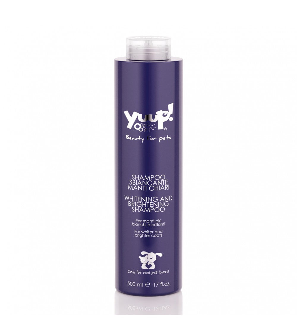 Yuup! | Home | Whitening & Brightening Shampoo