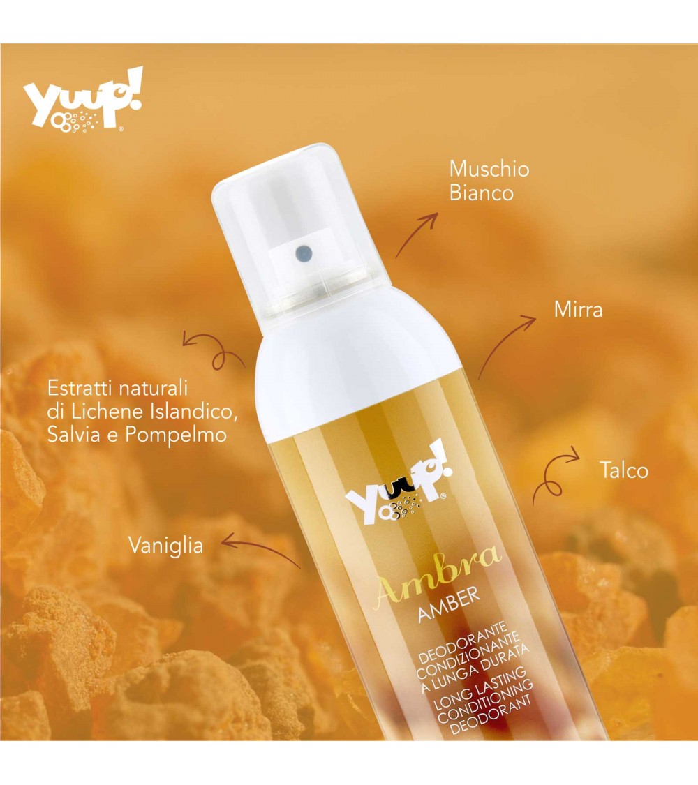 Yuup! | Fashion | Amber