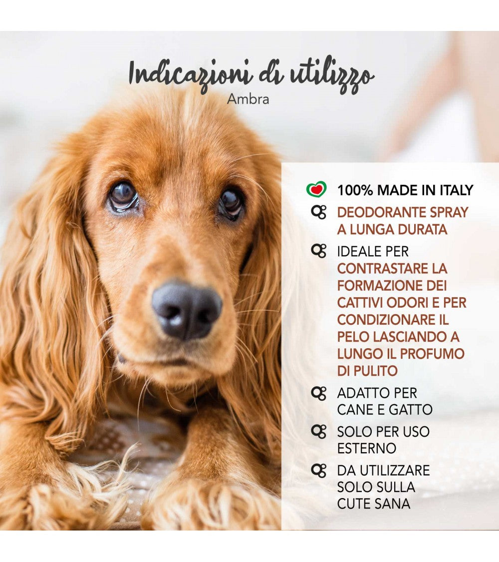 Yuup! | Fashion | Amber