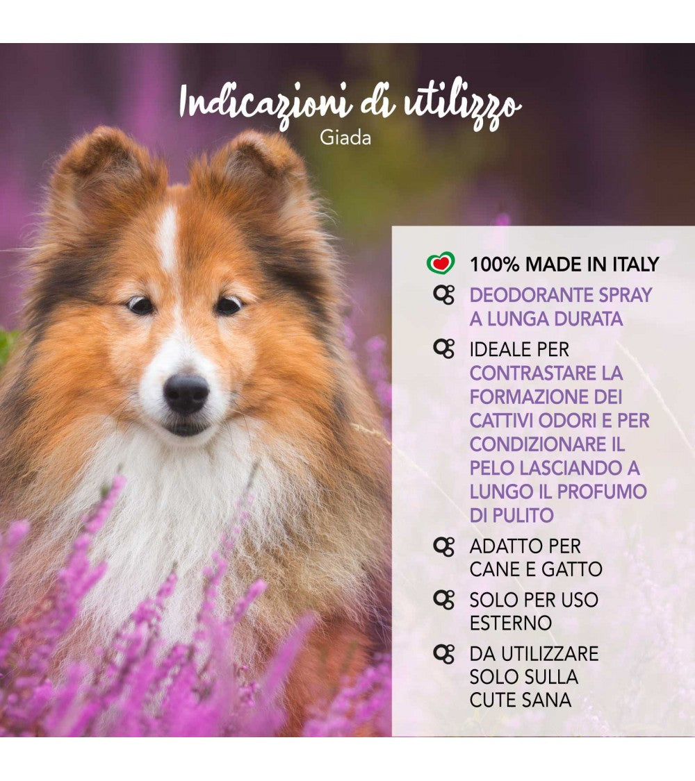 Yuup! | Fashion | Jade