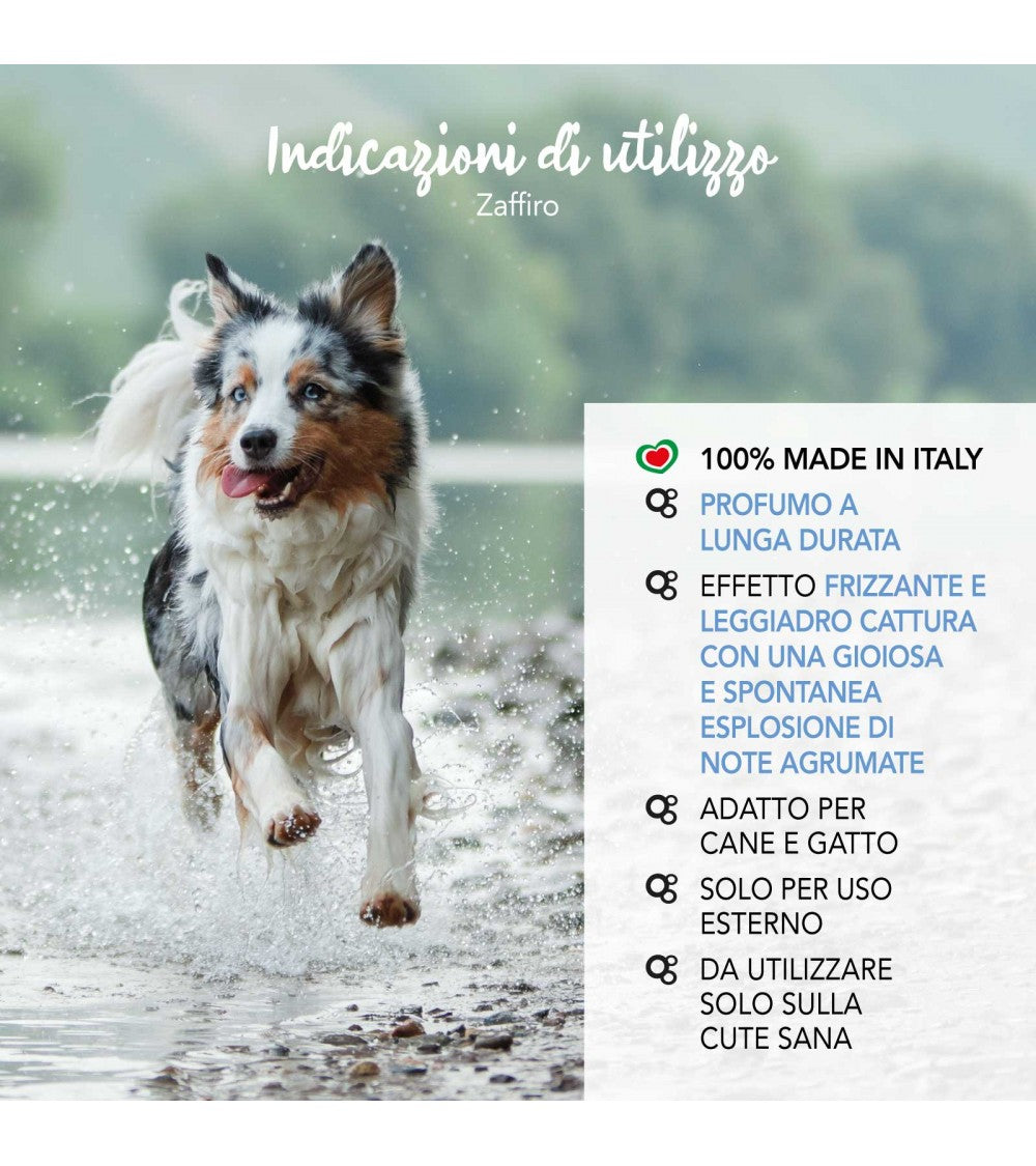 Yuup! | Fashion | Sapphire