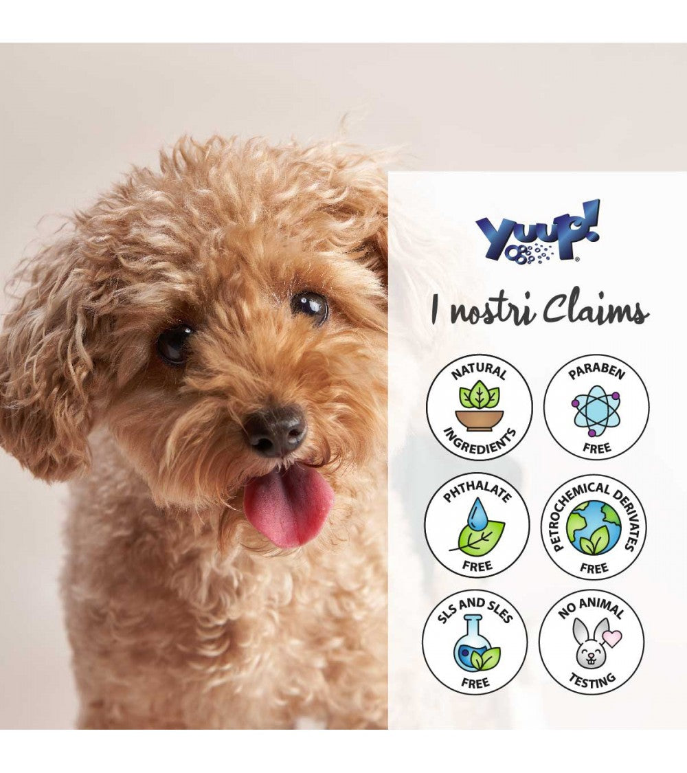 Yuup! | Home | Conditioning Water Fragrance | For Him