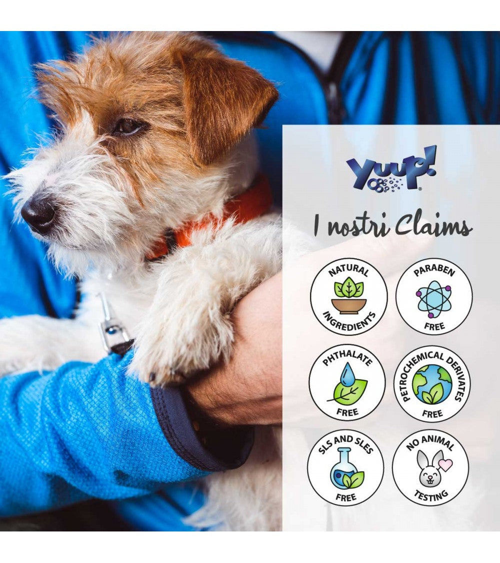 Yuup! | Home | Crisp Coats Shampoo