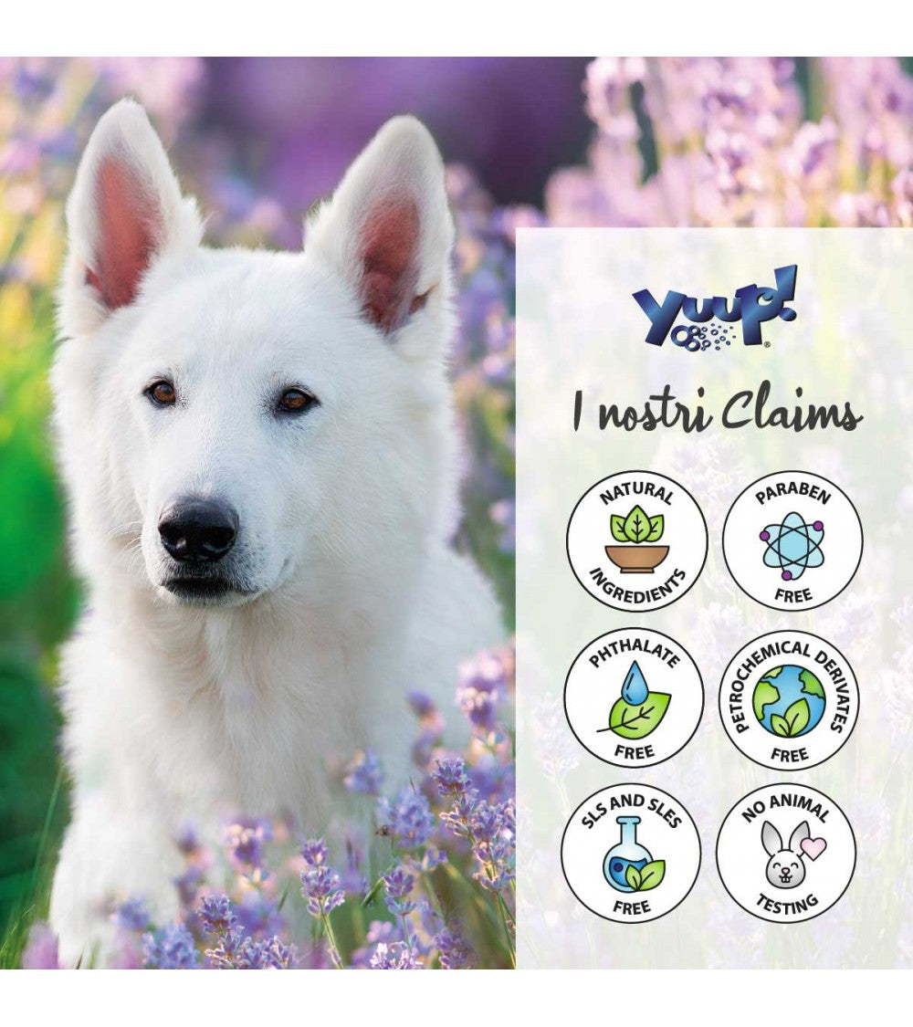 Yuup! | Home | Daily No Rinse Shampoo