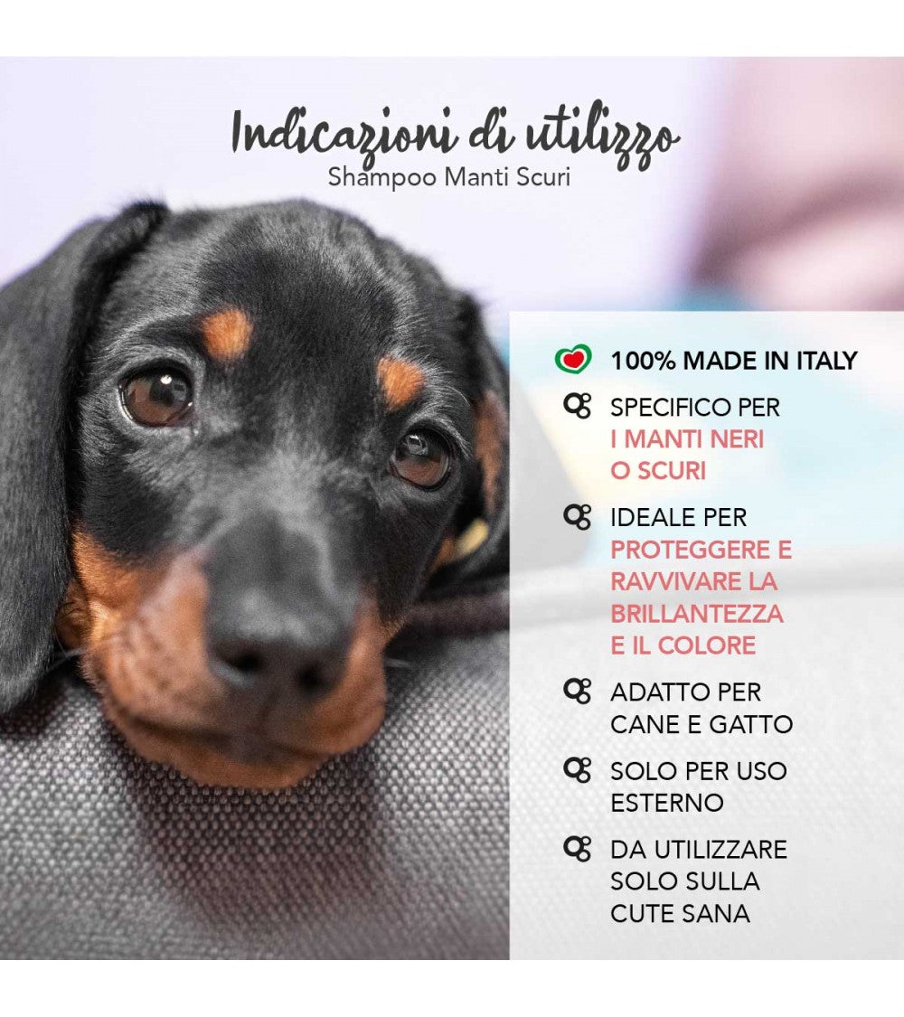 Yuup! | Home | Dark Coats Shampoo