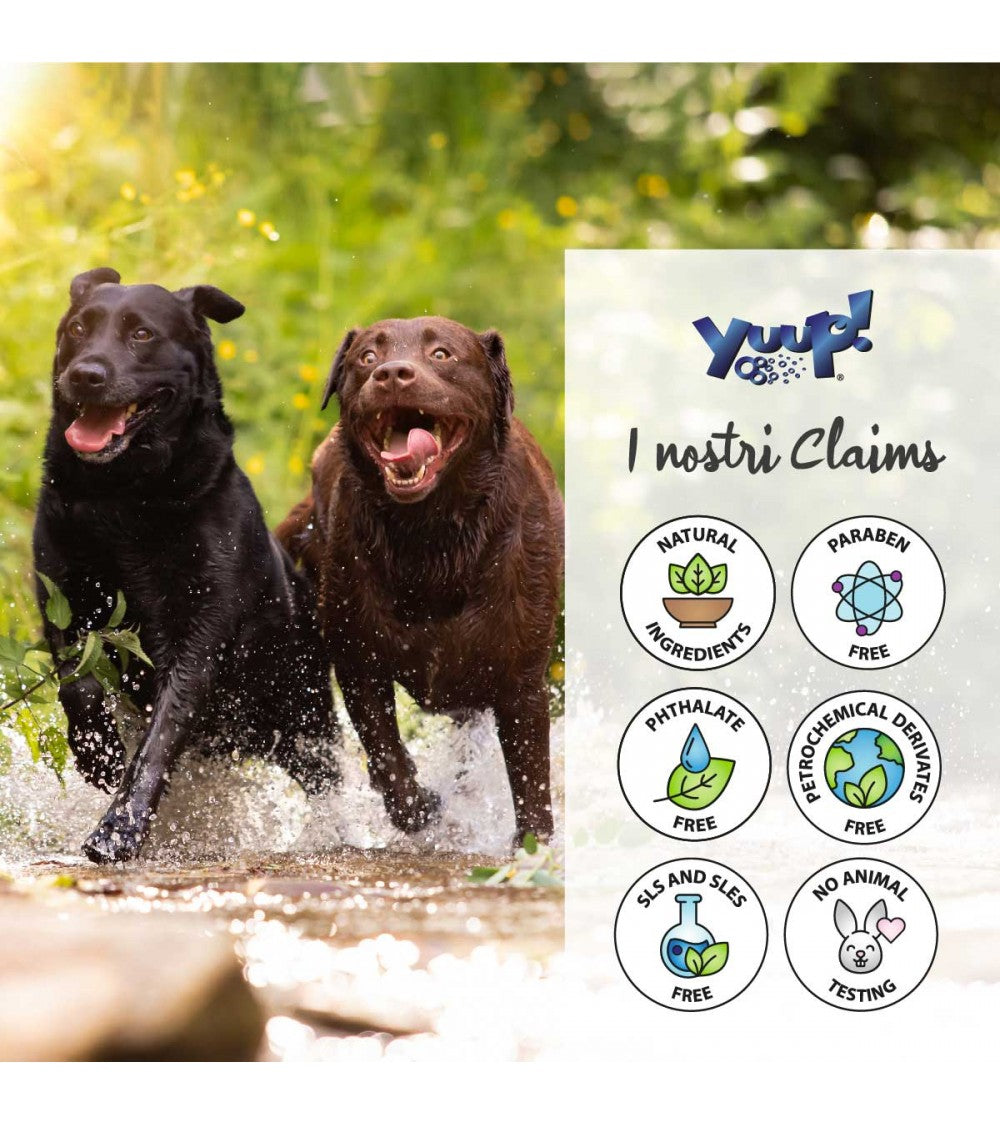 Yuup! | Home | Dark Coats Shampoo