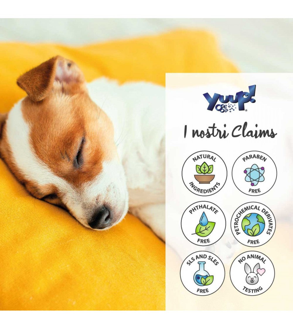Yuup! | Home | Gentle Shampoo for Puppies & Sensitive Skins