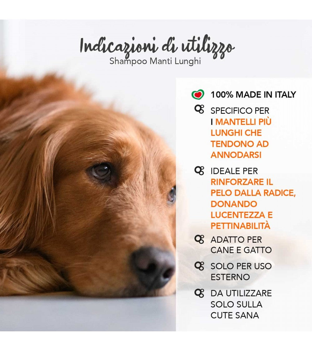 Yuup! | Home | Long Coats Shampoo