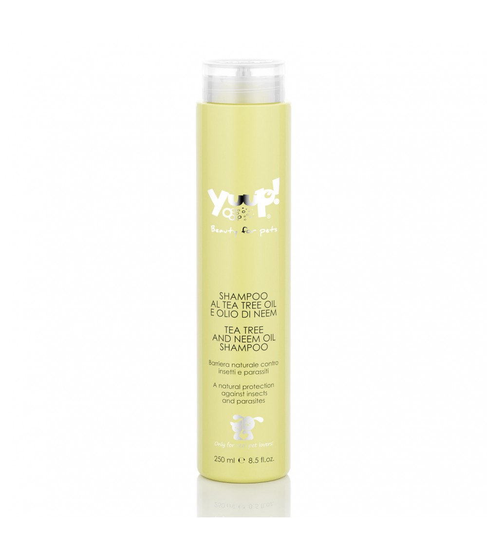 Yuup! | Home | Tee Tree & Neem Oil Shampoo
