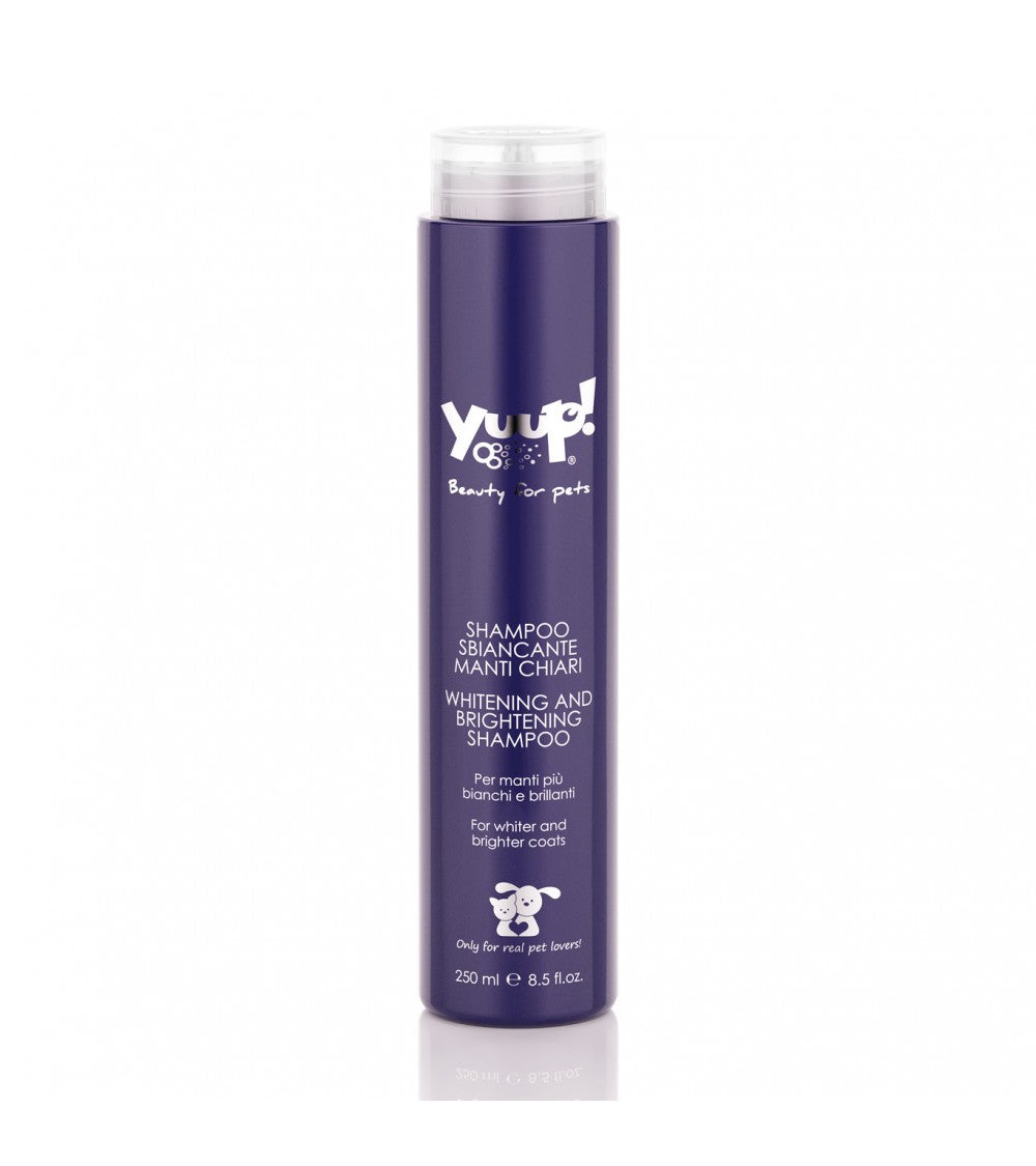 Yuup! | Home | Whitening & Brightening Shampoo