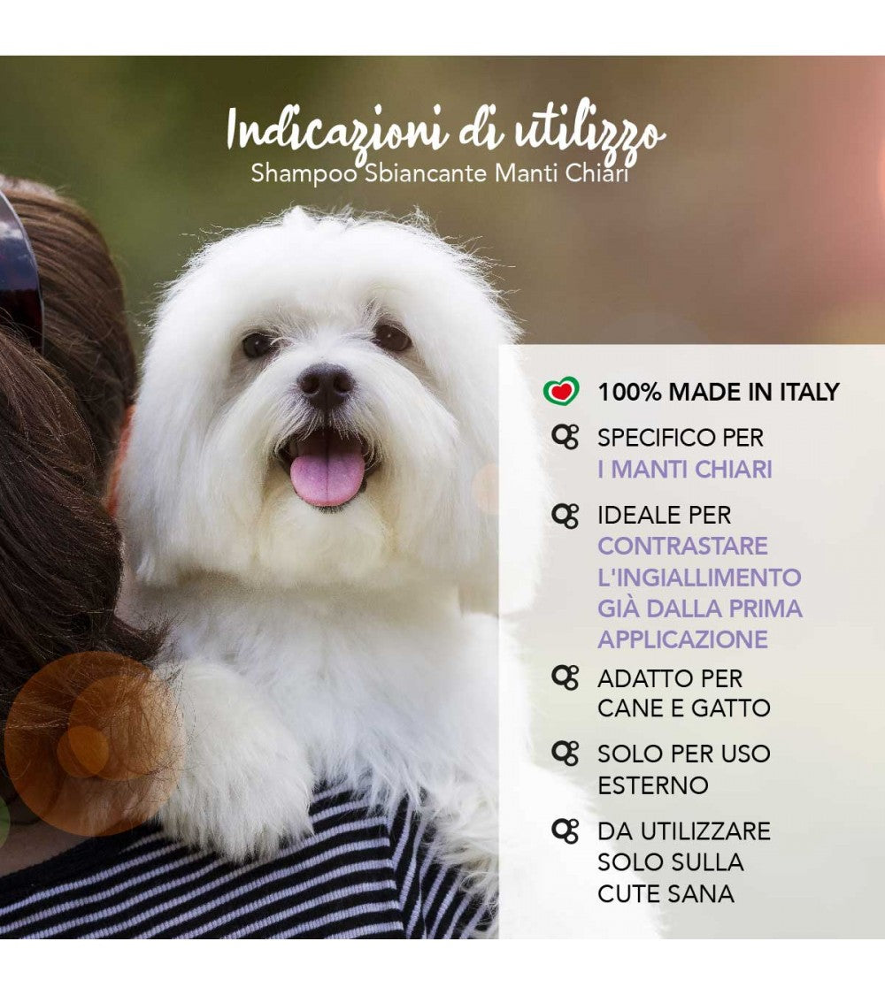 Yuup! | Professional | Whitening & Brightening Shampoo