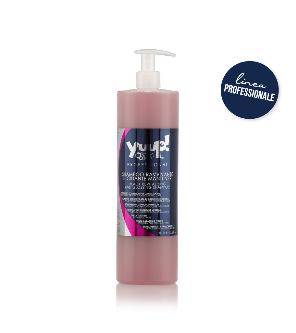 Yuup! | Professional | Black Revitalizing & Glossing Shampoo