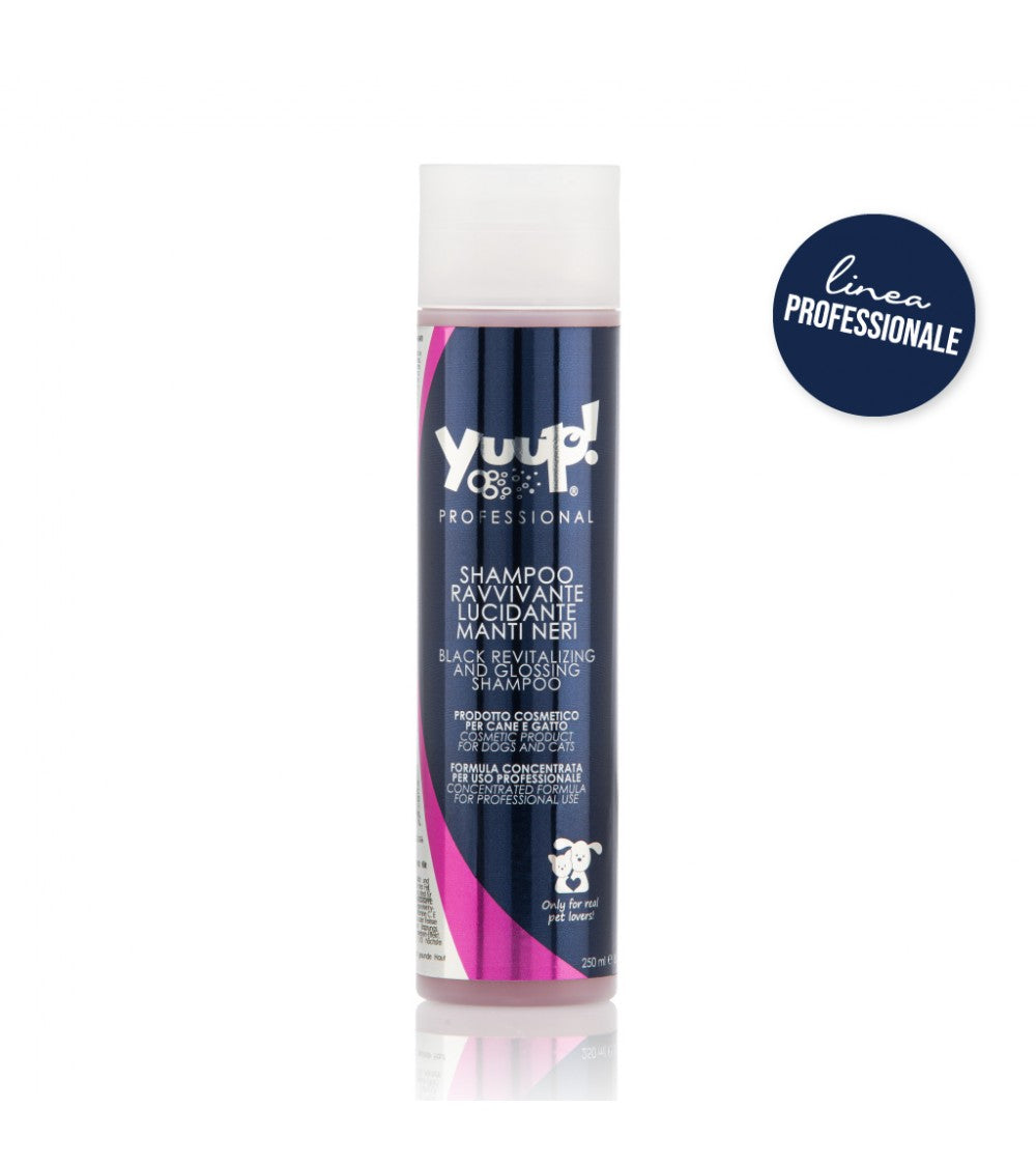 Yuup! | Professional | Black Revitalizing & Glossing Shampoo
