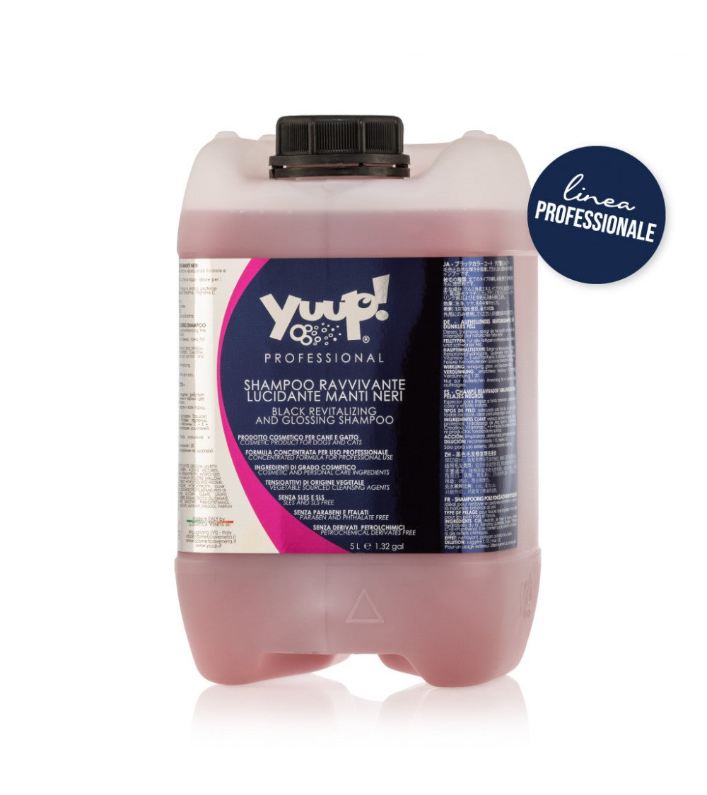 Yuup! | Professional | Black Revitalizing & Glossing Shampoo