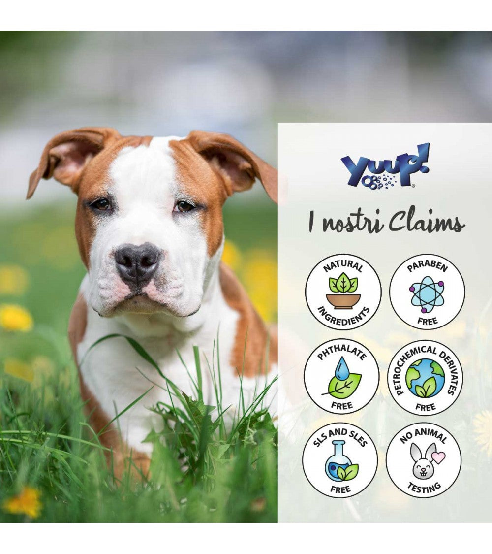 Yuup! | Home | Tea Tree & Neem Oil Spray