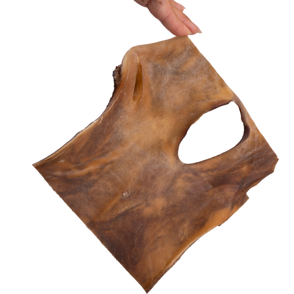 Snack'it | Kamelhud | Plade | I foile | 20x20 cm