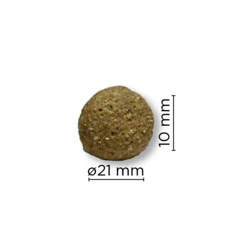 Arion Original | Skin & Coat | Large