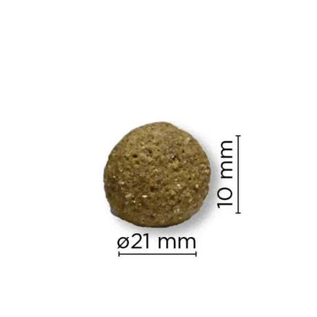 Arion Original | Maintenance | Large