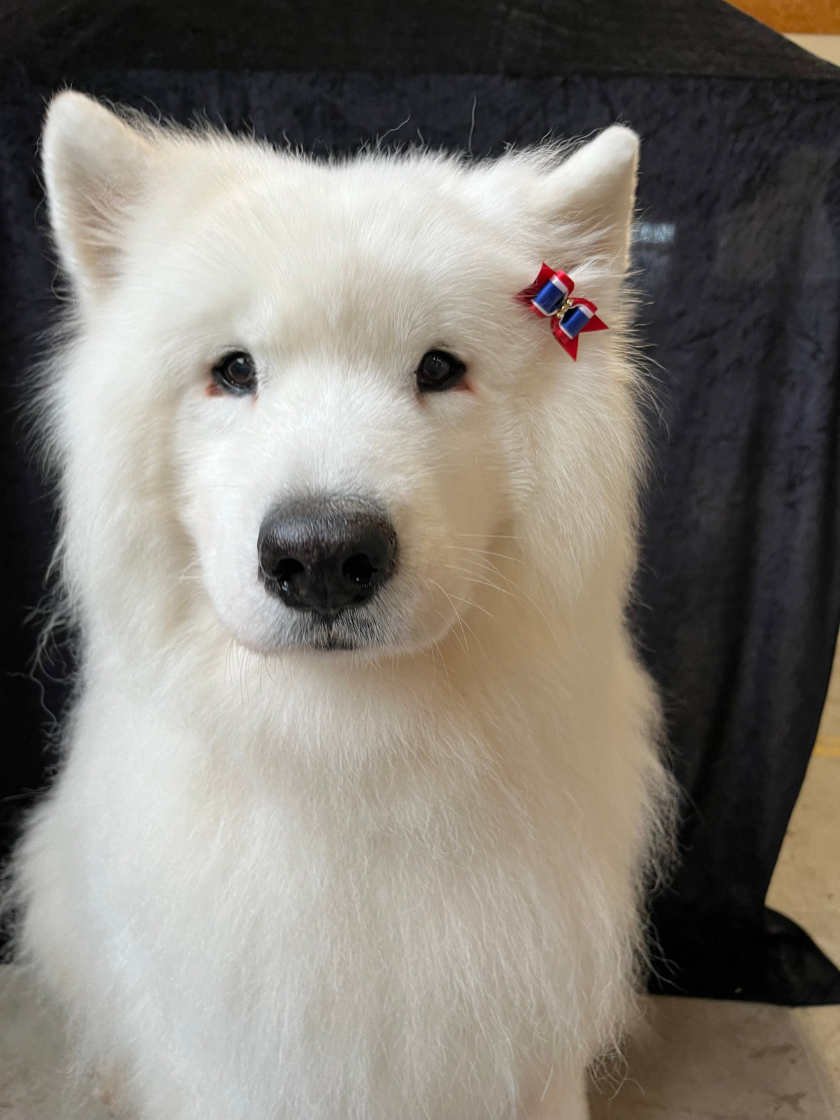 Sløjfe | Rød, blå og hvid