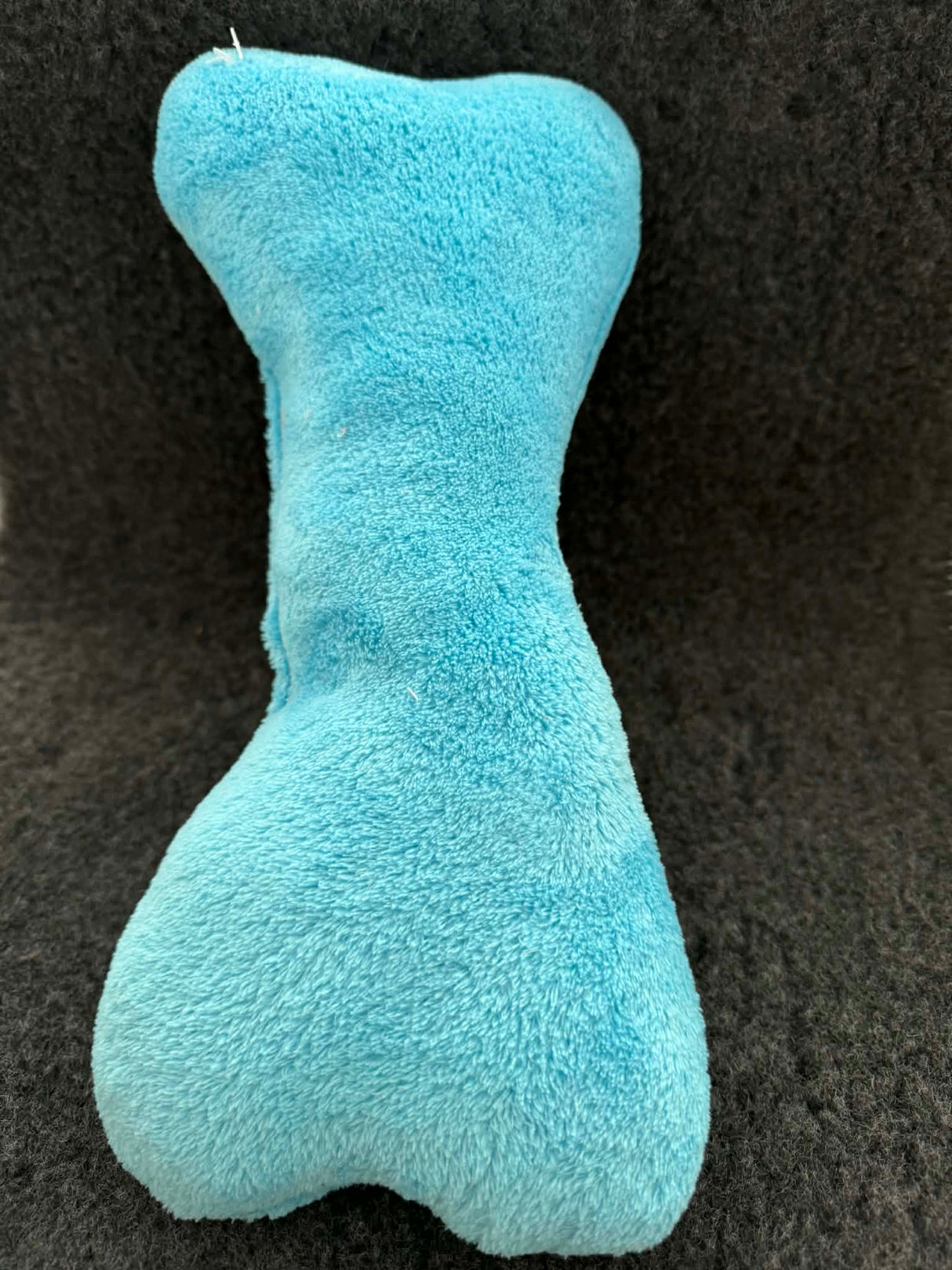 Wellness legetøj | Kødben | Blå | Stor