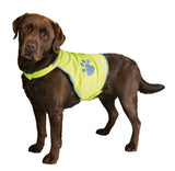 Trixie | Refleksvest | Gul