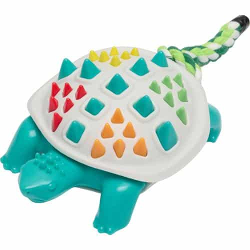 Companion | Chewing Toy | Turtle