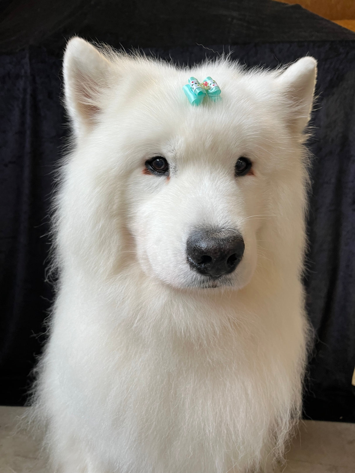 Sløjfe | Mint m. Perle blomst