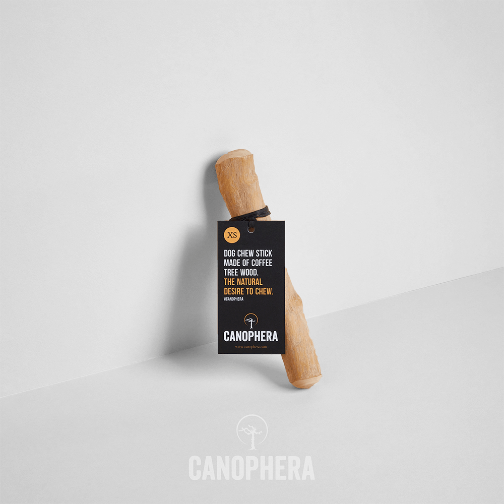 Canophera | Kaffetræ | XS