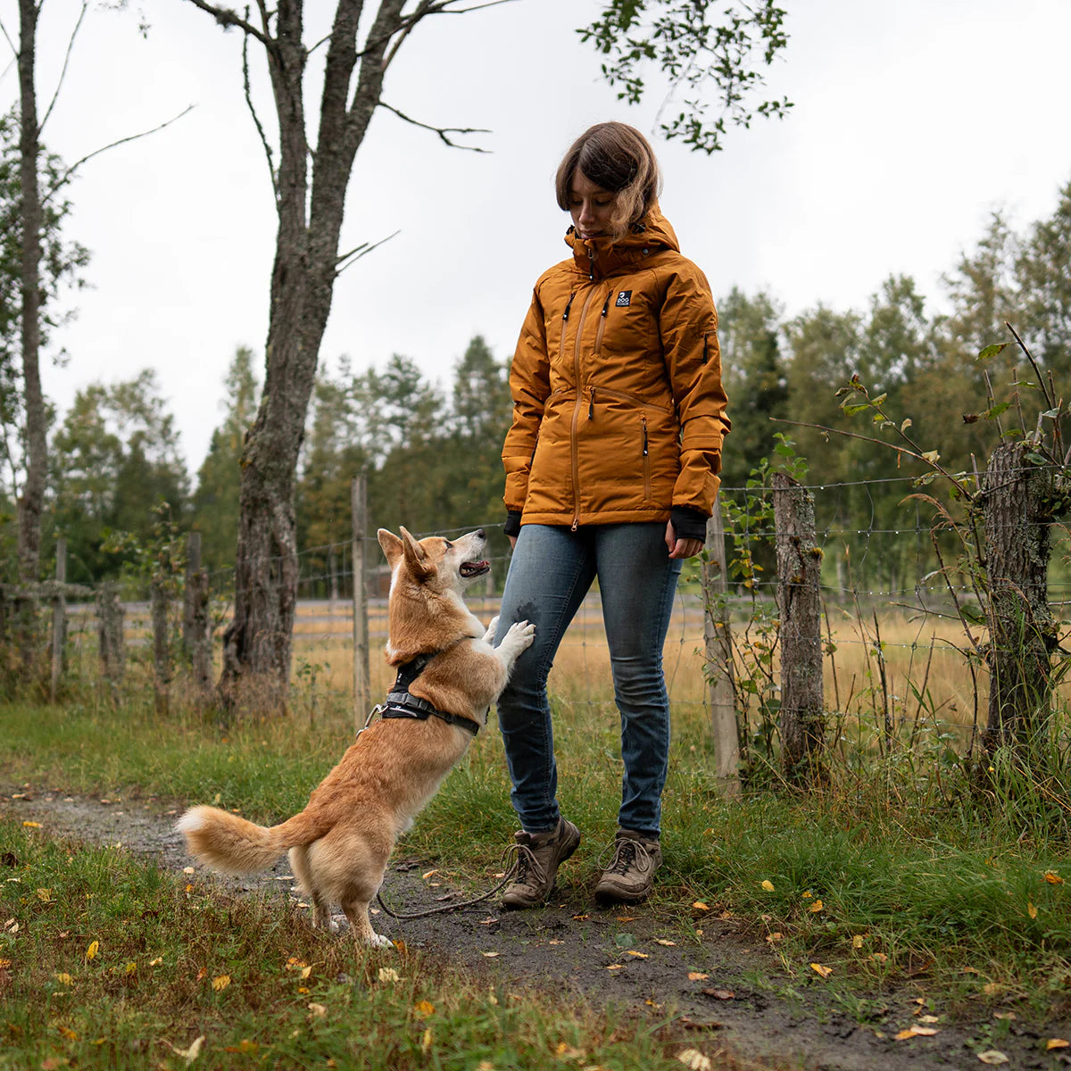 DC | KeepDry Overgangsjakke 2.0 | Mustard | Splinter