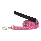 Red Dingo | Stars Lime Hot Pink | Line