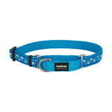 Red Dingo | Stars White on Turquoise | Semi kvæl