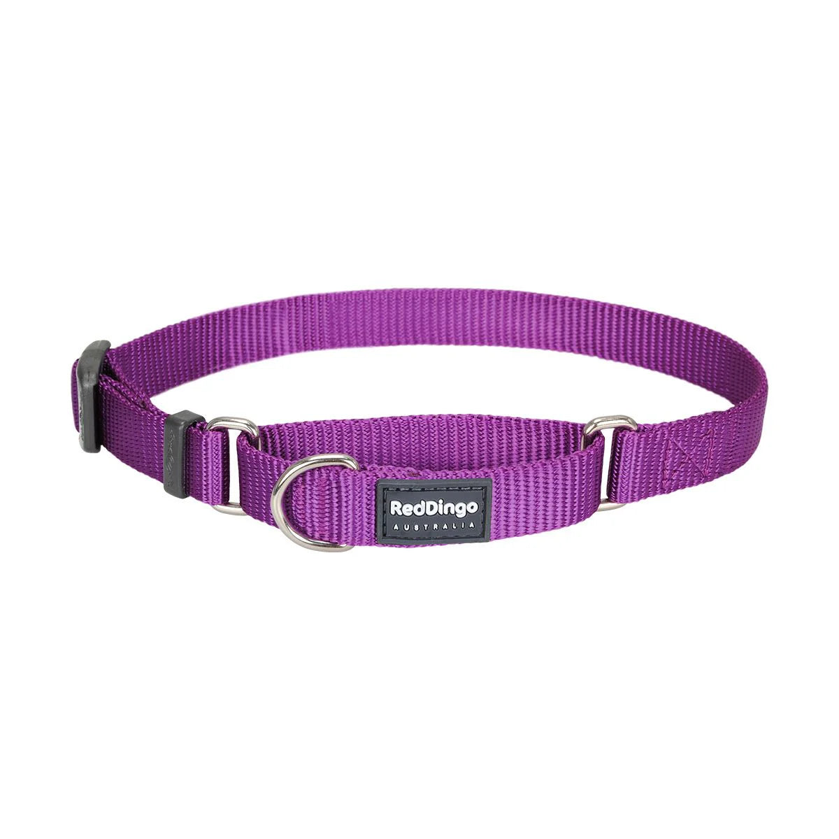 Red Dingo | Classic Purple | Semi kvæl