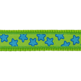 Red Dingo | Stars Turquoise on Lime Green | Line