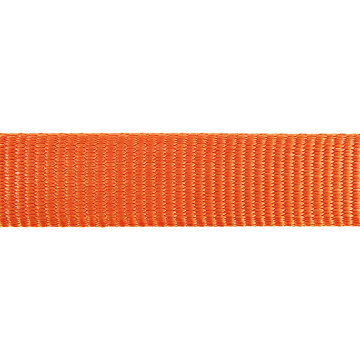 Red Dingo | Classic Orange  | Line