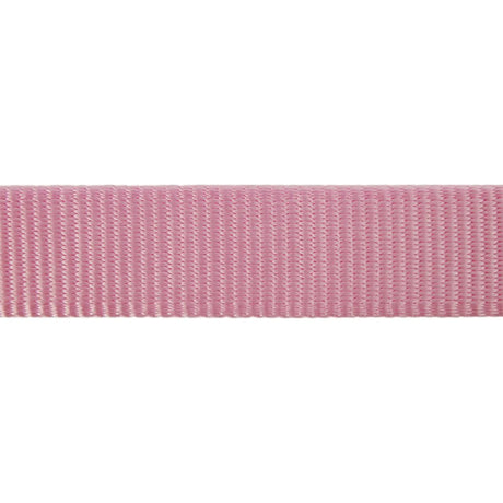 Red Dingo | Classic Pink | Line