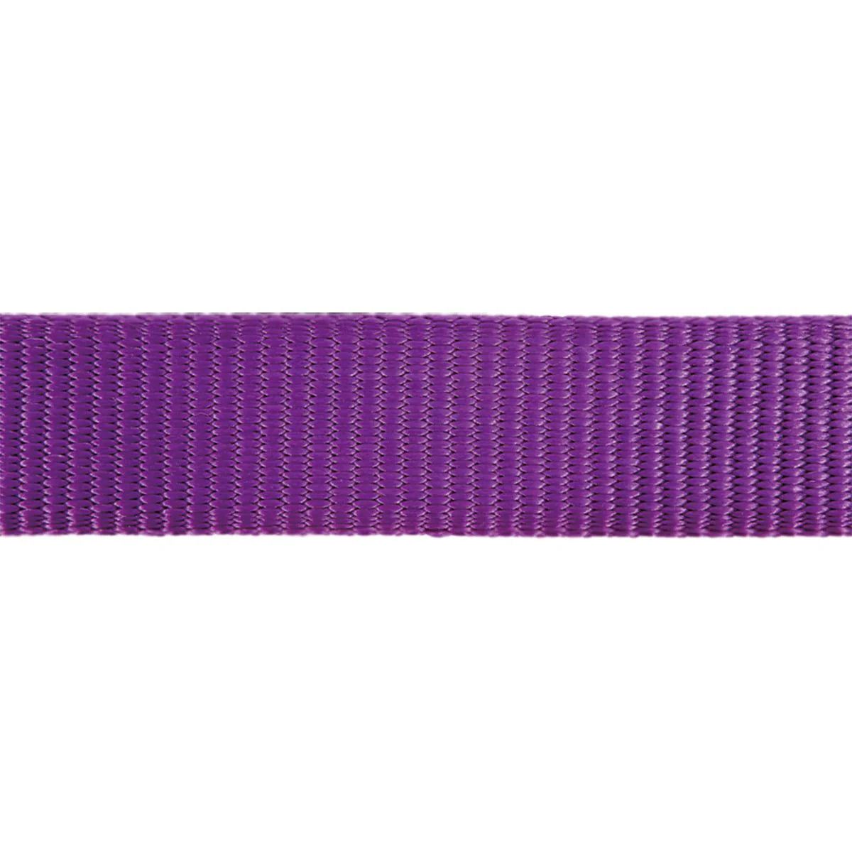 Red Dingo | Classic Purple | Line