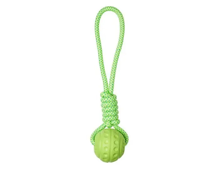 Companion | Aqua ball on rope