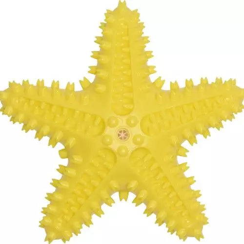 Companion | Chewing Toy | Star