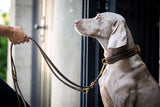 Maul |  Mørkebrun læder line 2 m | M. Guld karabin