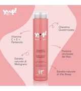 Yuup! | Home | Dark Coats Shampoo