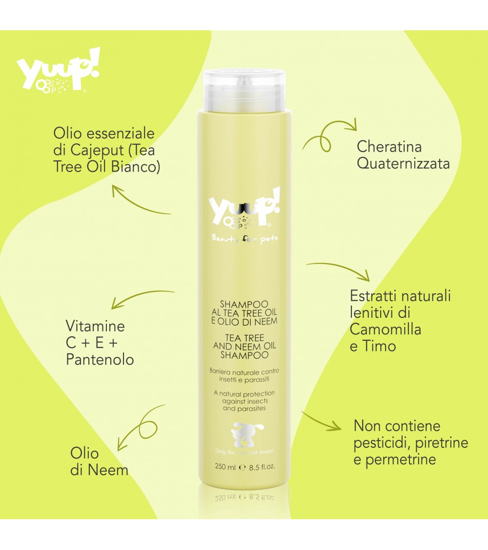 Yuup! | Home | Tee Tree & Neem Oil Shampoo